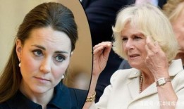 王室人员爆料凯特视频,凯特王妃私密视频曝光，真实生活令人惊讶