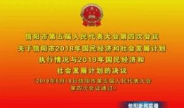 信阳新闻头条爆料,揭秘某重大事件背后真相，引发社会广泛关注