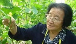 娱乐吃瓜酱半生不熟,娱乐吃瓜酱的娱乐圈秘闻杂谈