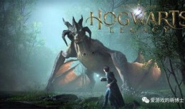 哈利波特最新爆料星云,星云之谜，揭秘魔法世界的全新篇章