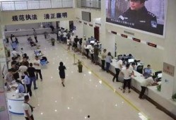 焦作车管所爆料事件最新,内幕曝光，真相背后引关注