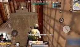 巴西哥爆料伊苏尔德视频,真相与争议