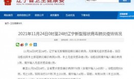 今日泉家新号爆料,揭秘今日热点事件背后的真相