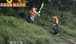 娱乐吃瓜酱半生不熟,娱乐吃瓜酱的娱乐圈秘闻杂谈