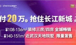 武汉热点新闻爆料视频,揭秘最新爆料视频背后的真相