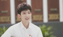 王源被私生视频爆料,隐私边界与粉丝行为的反思