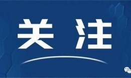 咸宁今日爆料新闻视频,视频揭露惊人真相！