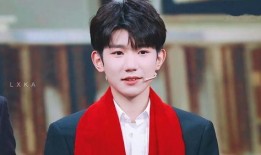 王源被私生视频爆料,隐私边界与粉丝行为的反思