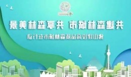 广州佛山新闻爆料,两地携手应对突发事件，共筑安全防线