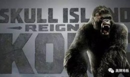金刚骷髅岛在线观看,探险奇遇，揭秘神秘岛屿的惊悚之旅