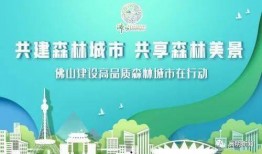 广州佛山新闻爆料,两地携手应对突发事件，共筑安全防线
