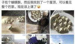 家政阿姨爆料视频播放,揭秘家政行业背后真相