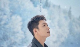 电视剧冬至在线观看,温情岁月里的悬疑谜案