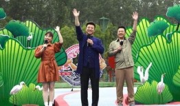 银川酒店爆料视频最新,揭秘幕后真相与惊人内幕