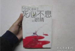 死心不息在线观看,一场不屈不挠的在线情感之旅