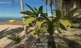 刺荆在线观看,揭秘网络世界的荆棘与荣耀