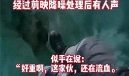 济南渣男爆料事件视频播放,真相与争议交织