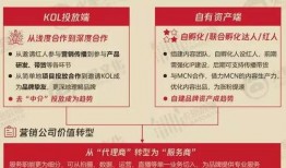 直播爆料干货怎么做视频,打造爆款视频的秘诀解析