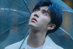 陈哲远爆料沈月了吗视频,视频曝光背后真相