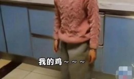 婆婆爆料视频大全最新,揭秘家庭生活那些不为人知的瞬间