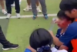 川大事件最新爆料视频播放,视频揭露惊人内幕