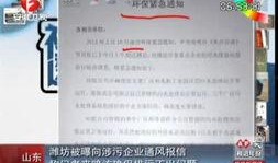 潍坊企业爆料事件最新,揭露背后真相与行业乱象