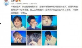 日本总导演爆料视频大全,独家视频大全背后的故事