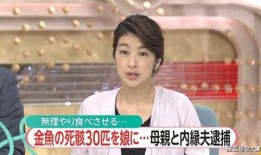 王宇媳妇爆料新闻事件视频,揭秘新闻事件背后惊人真相