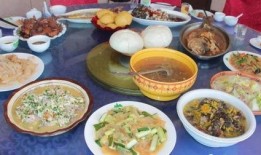 网红海蜇爆料视频大全,揭秘幕后真相与趣味瞬间