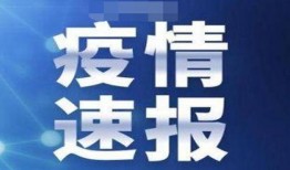 沈阳大连爆料事件最新情况,真相逐步浮出水面