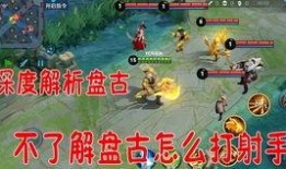 王者老鸟爆料视频大全集,揭秘游戏幕后精彩瞬间