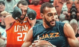 戈贝尔爆料最新消息,揭秘篮球界惊人内幕！”