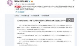 沈阳学生爆料新闻事件真相,揭开校园真相的幕后之谜
