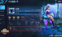 王者历代年限爆料视频,穿越时空的荣耀历程