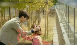 2017韩国电视剧在线观看,重温经典，探索热门剧集