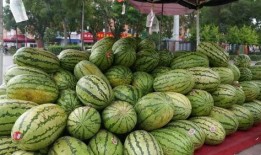 网红吃瓜爆料入口是什么,揭秘娱乐圈幕后真相