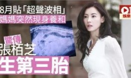 娱乐吃瓜酱母胎solo,母胎solo的独舞人生