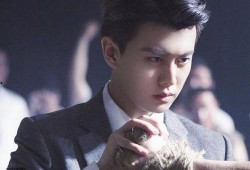 任嘉伦秋蝉最新爆料,揭秘神秘特工身份，情感线升级引期待