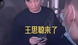 爆料王思聪视频全集,视频全集深度解析