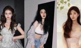 狗仔爆料白鹿最新动态,狗仔爆料揭秘幕后故事