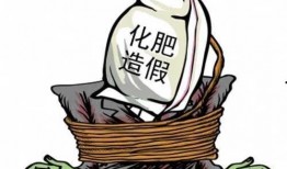 湖南工厂爆料案件最新,揭露背后惊人真相