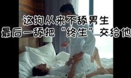 舔视频在线观看,揭秘舔视频在线观看的便捷之旅