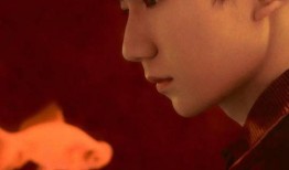 王源被私生视频爆料,隐私边界与粉丝行为的反思