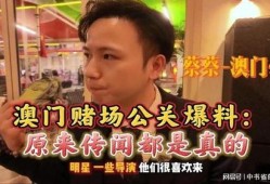 澳门公关爆料视频最新,揭秘幕后真相