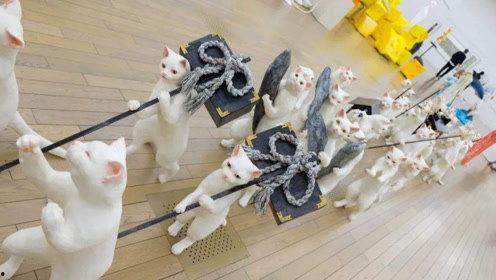 娱乐吃瓜君财神